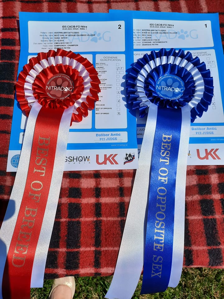 279694587_10217510916839364_9067330062542583050_n