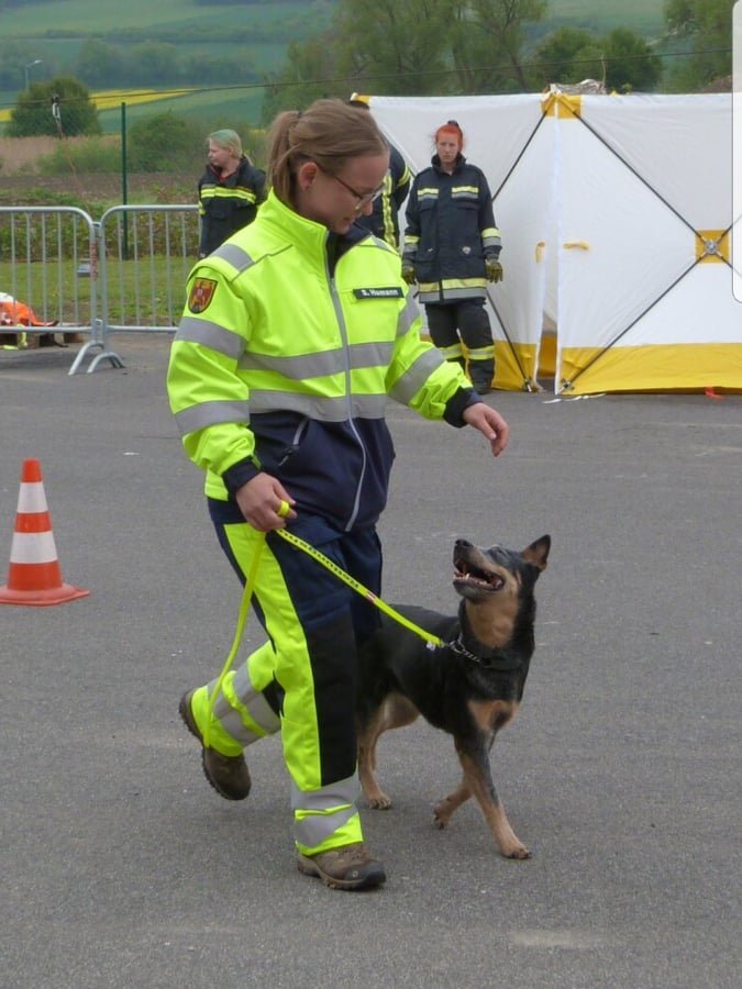 279910480_10217523289108663_3971295037357839006_n