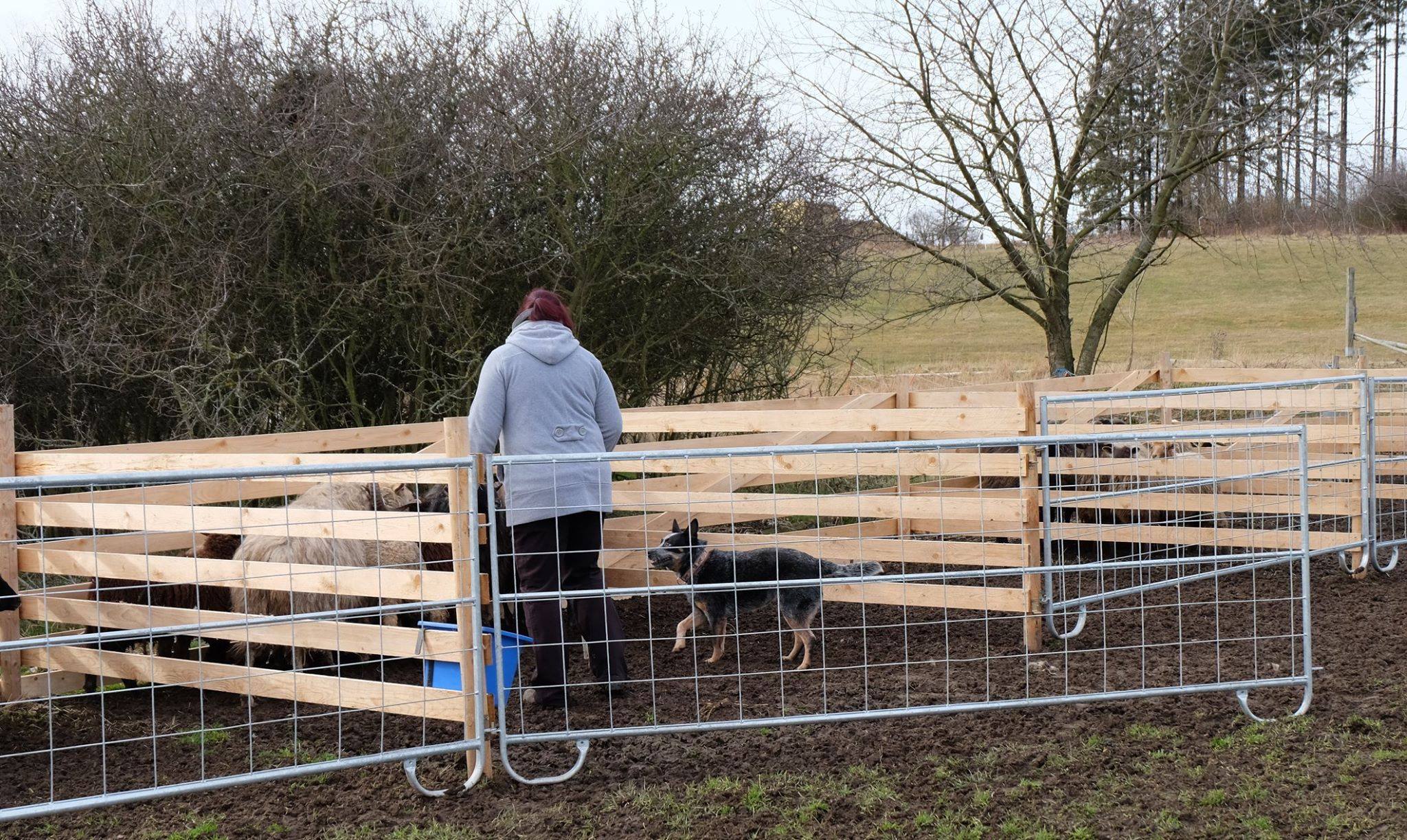 86725933_2564654003763752_2638660845319487488_o