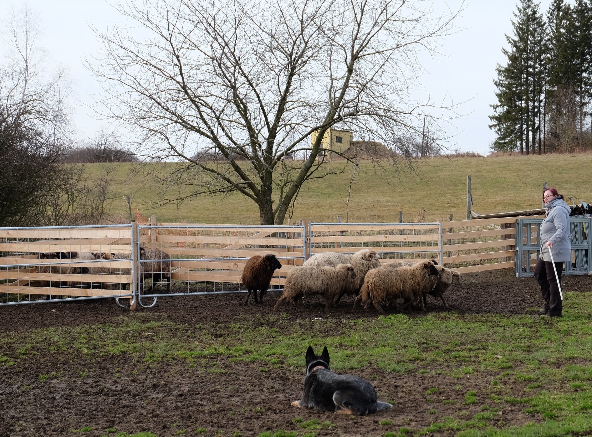 86776630_2564654123763740_2697519227467726848_o