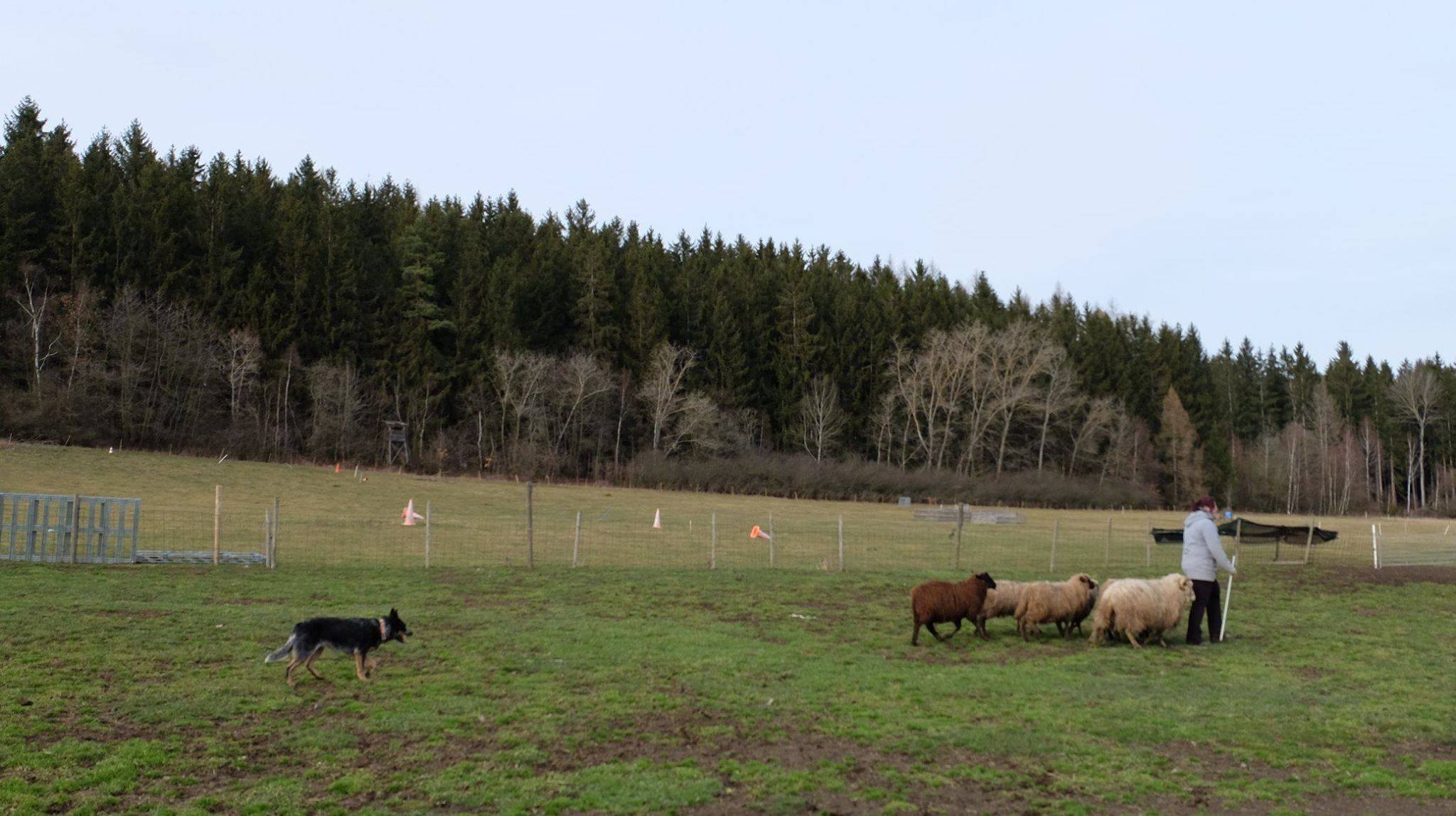 87074399_2564653307097155_6176390046568939520_o