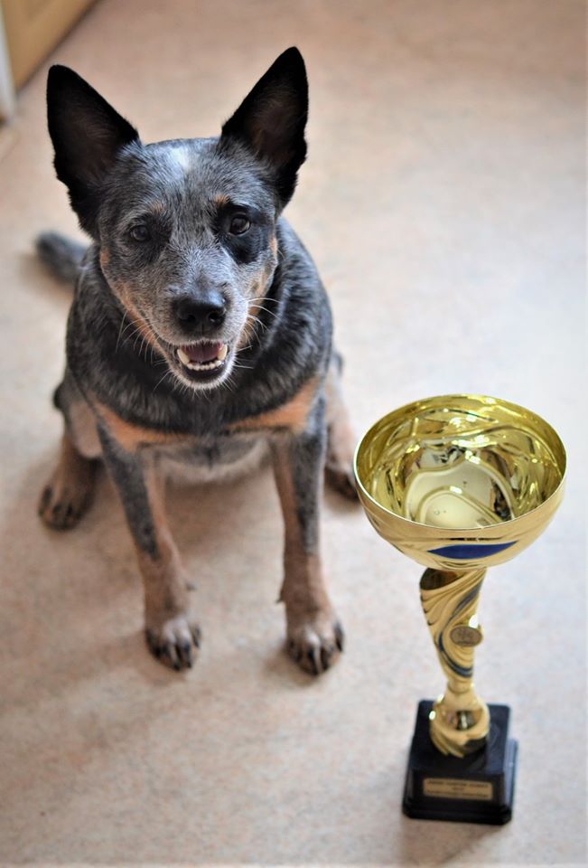 87775058_10213646122861930_759251077202706432_o