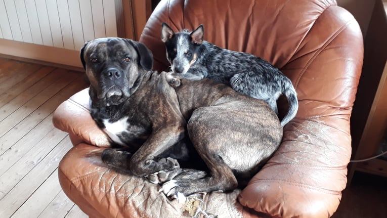 90600163_10213804380938283_4078094614605594624_n