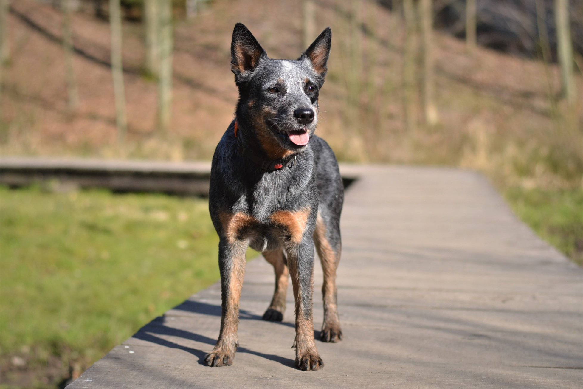 91566095_10213880717366646_1223778118414630912_o