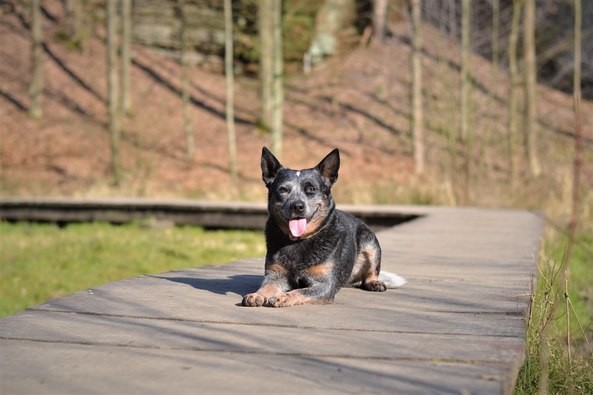 91585681_10213880684965836_533873634712748032_o