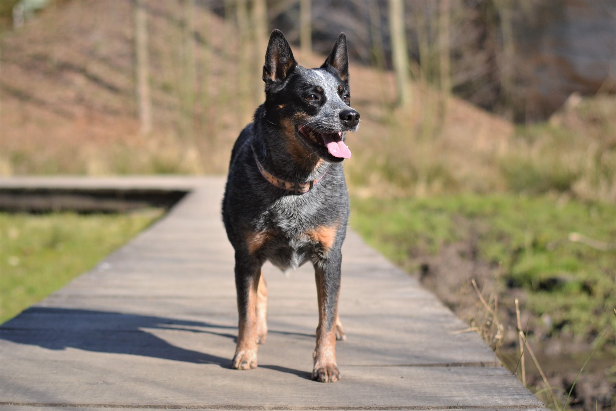 91606768_10213880702086264_2205593567672401920_o