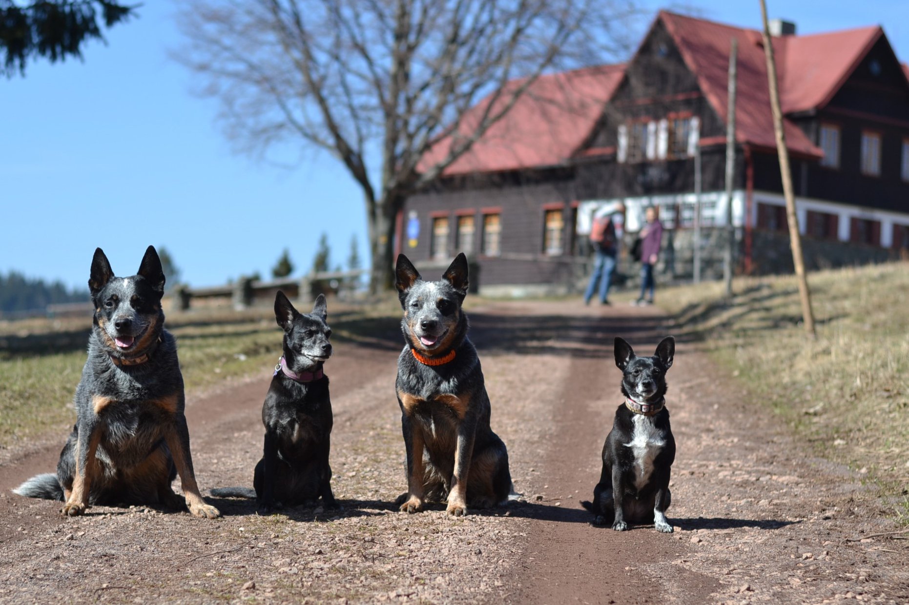 91859181_10213901494486061_7765549721573130240_o