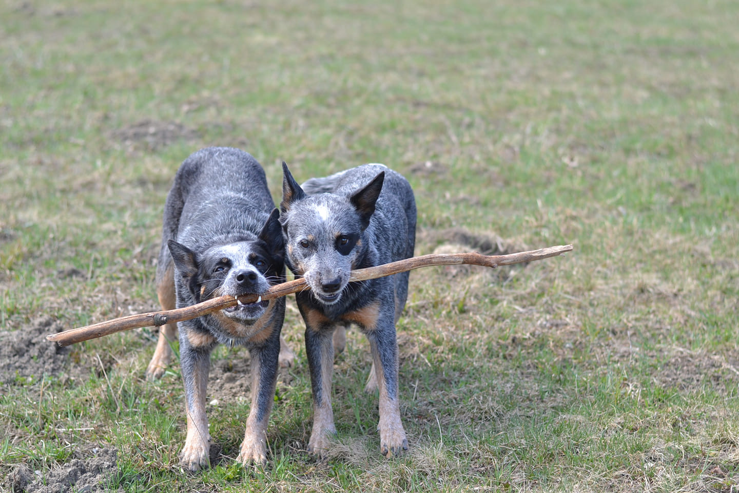 93610585_10214003467355319_7323414144466550784_o